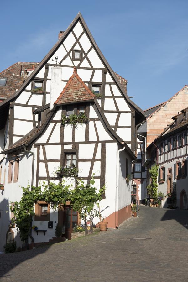 Burggarten Appartements 뉴라이닝언 외부 사진